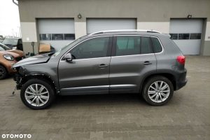 vw-1