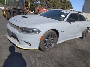 dodge