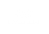Hyundai z USA