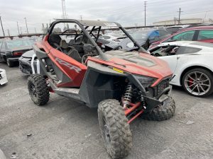 quad-1