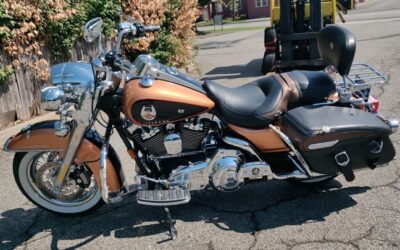 Aukcje motocykli z USA: jak kupić, sprowadzić i zarejestrować motocykl w Polsce