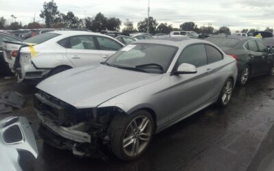 BMW 230 z USA – Import do Warszawy dla Arkadiusza