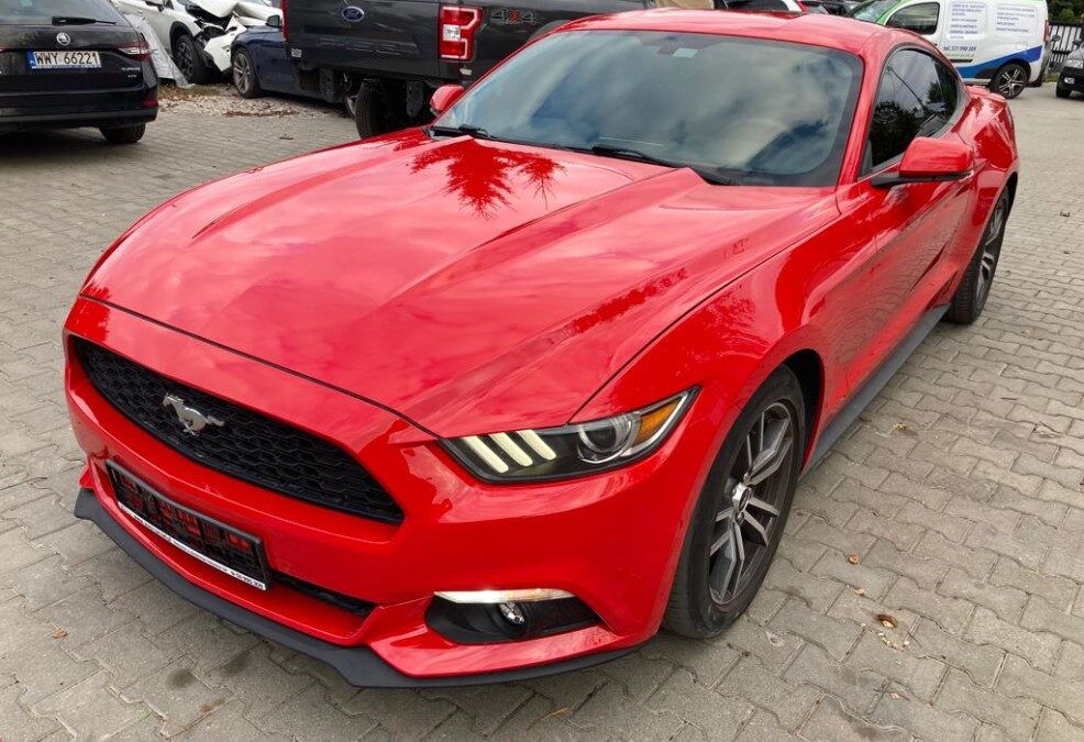 Ford Mustang 3.7 z USA – Import do okolic Nowego Miasta Lubawskiego
