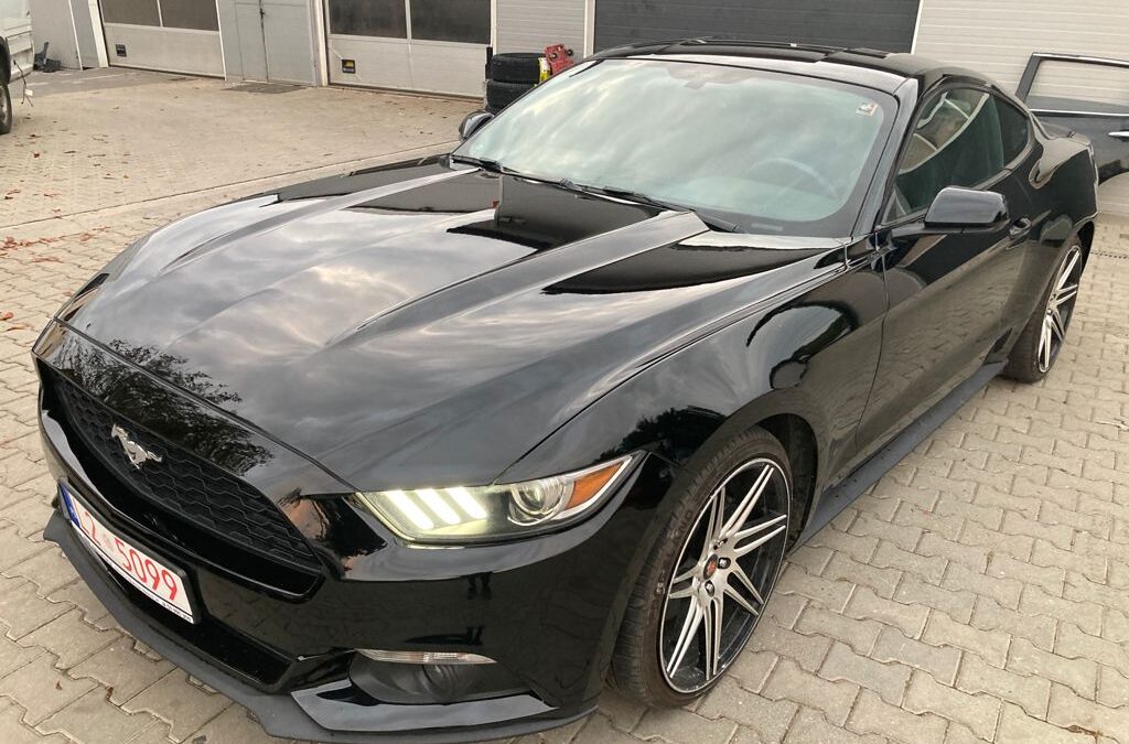Ford Mustang EcoBoost z USA – Import do Puław dla Diany