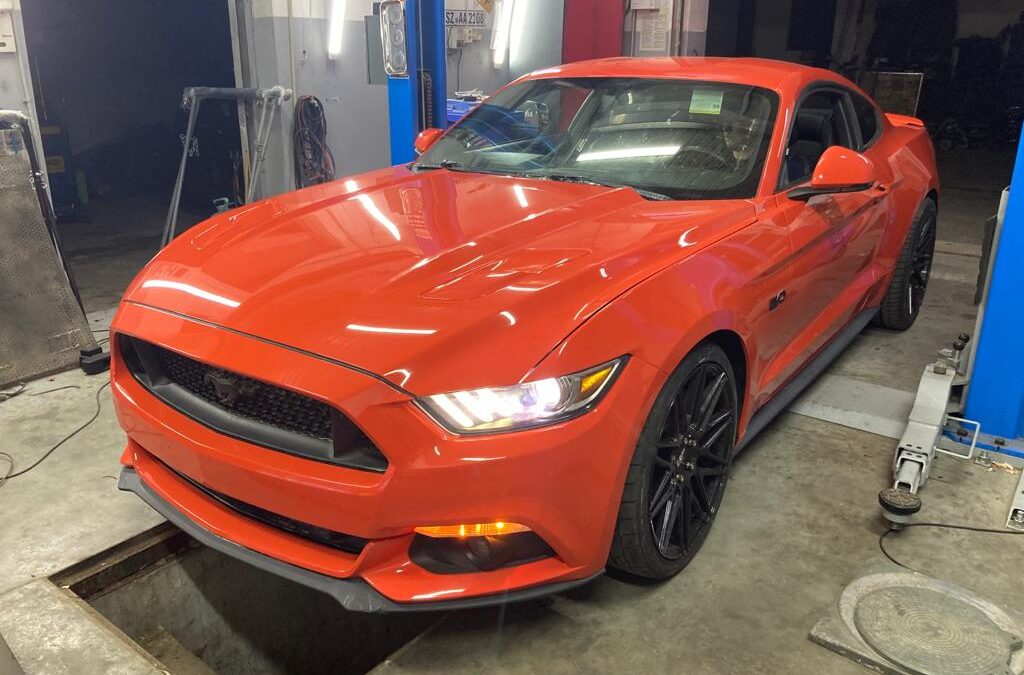 Ford Mustang GT z USA – Import do Bartoszyc dla Piotra